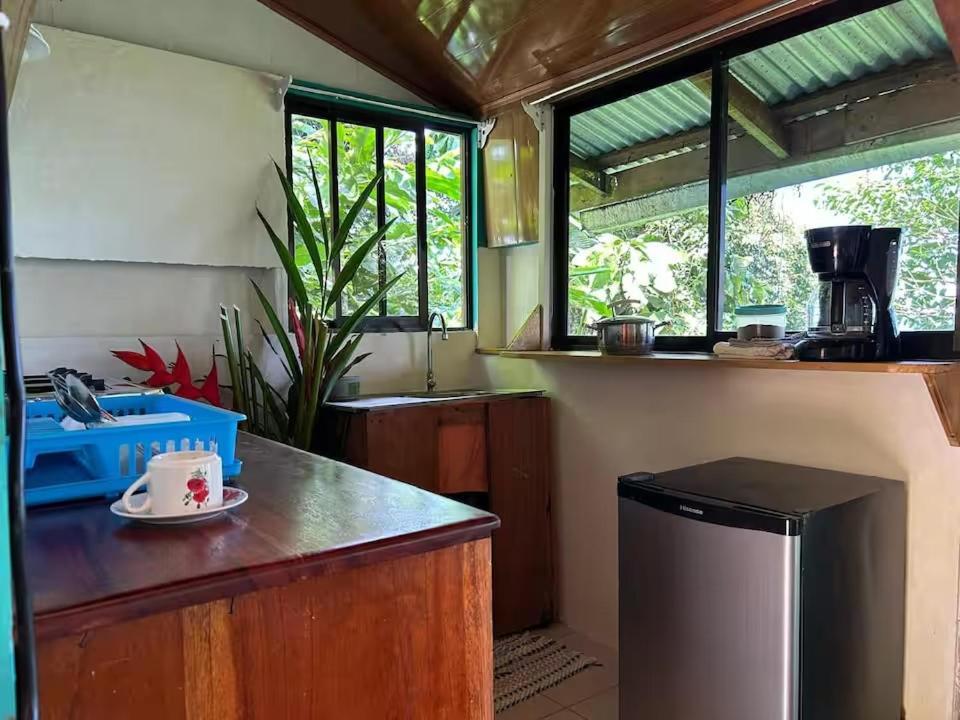 Bed and Breakfast Casa Horizontes Corcovado Drakes Bay Exterior foto